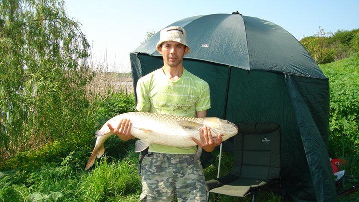 tancabesti - 357611135539753590794880766n.jpg